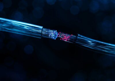 Audit fibre optique